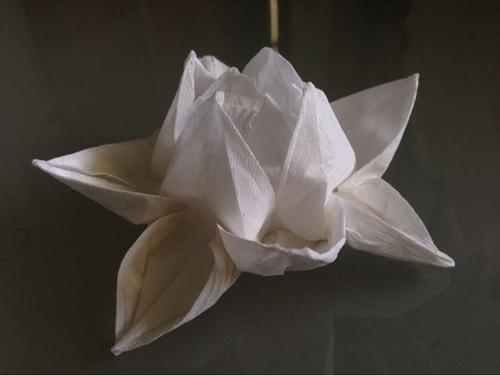 梦见折纸变成白莲花