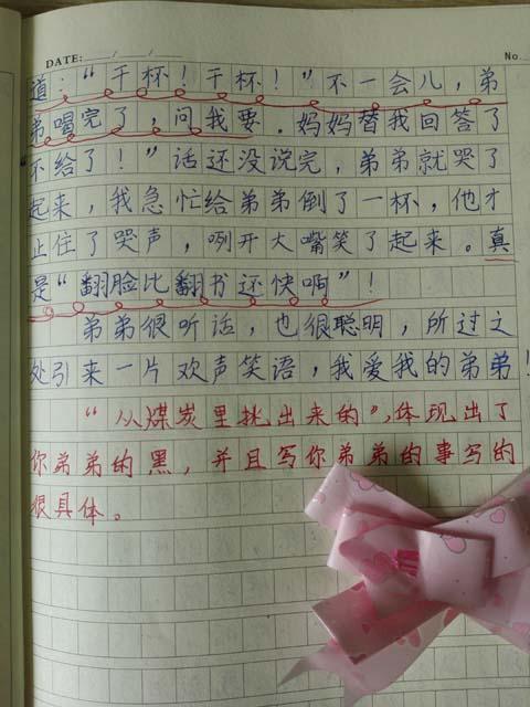 折纸鹤日记600字