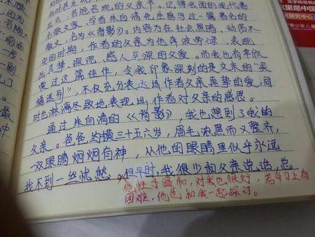 折纸鹤日记500字