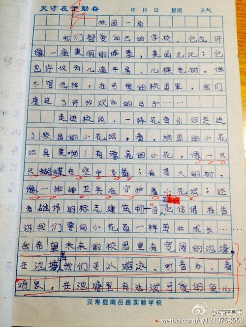 折纸鹤的日记50字
