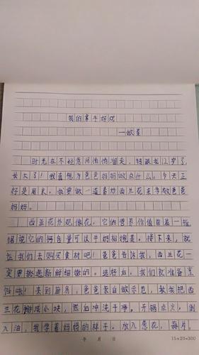 《我的拿手好戏》双辽市第二小学六年一班杨雨桐