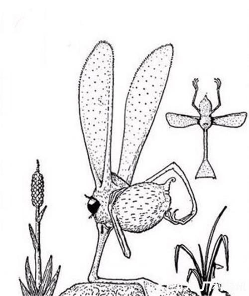 植物和动物组合简笔画