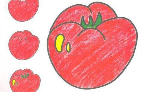西红柿简笔画图片大全大图