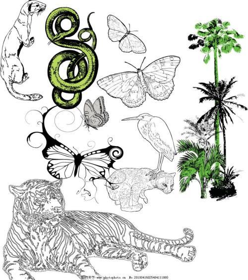 热带雨林的动物和植物简笔画