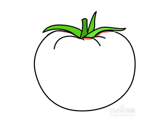 怎么画西红柿的简笔画